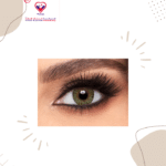 3-in-1 color technology for natural appearance of eye color Daily disposable convenience for fresh lens every day Lightstream manufacturing technology for consistent fitting and comfort with every lens, every day
