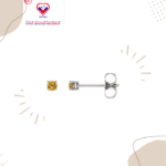 C-bo Hypoallergenic Sterile Yellow Round Stainless Steel Silver Plated Crystal Stud Earrings